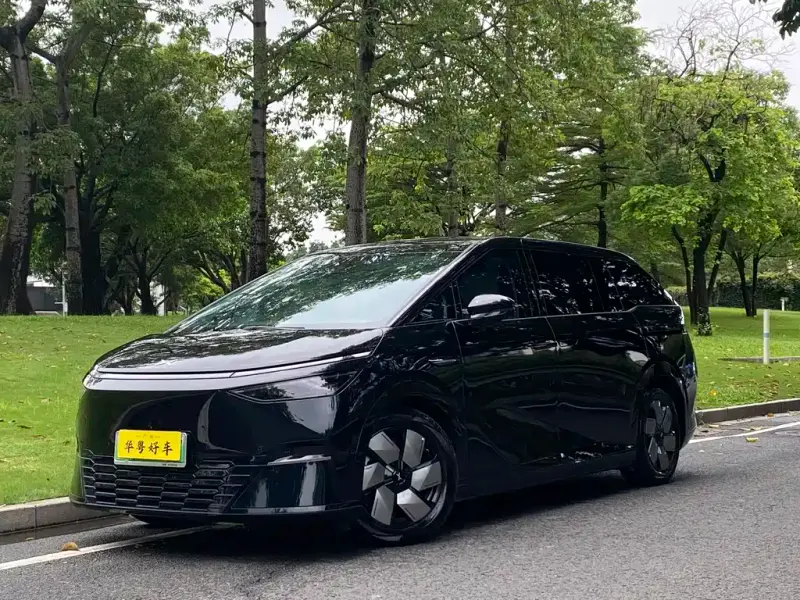 XPeng X9, 2024