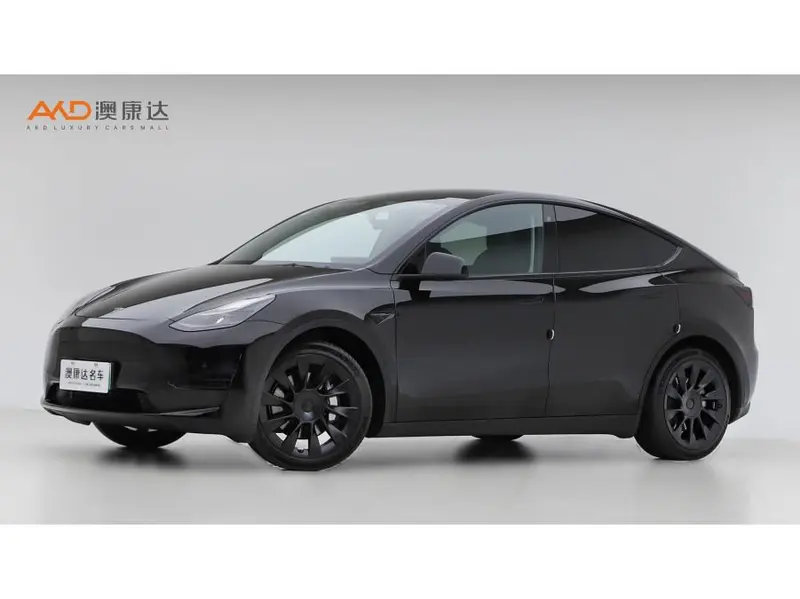 Tesla Model Y, 2022