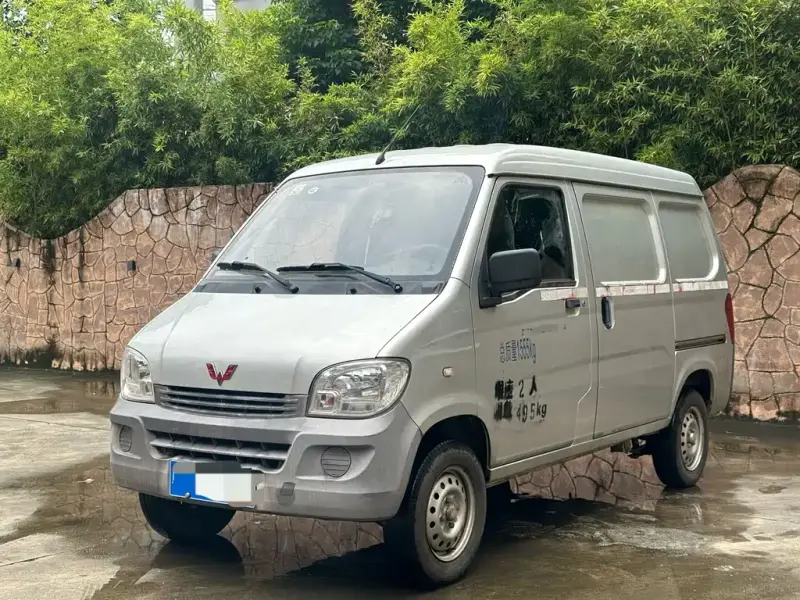 Wuling Zhiguang, 2020