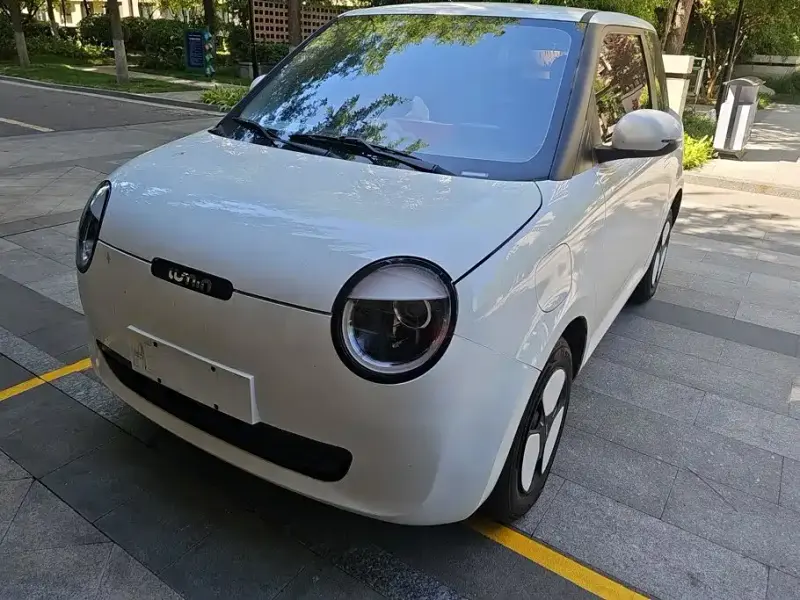 Qiyuan Lumin, 2025