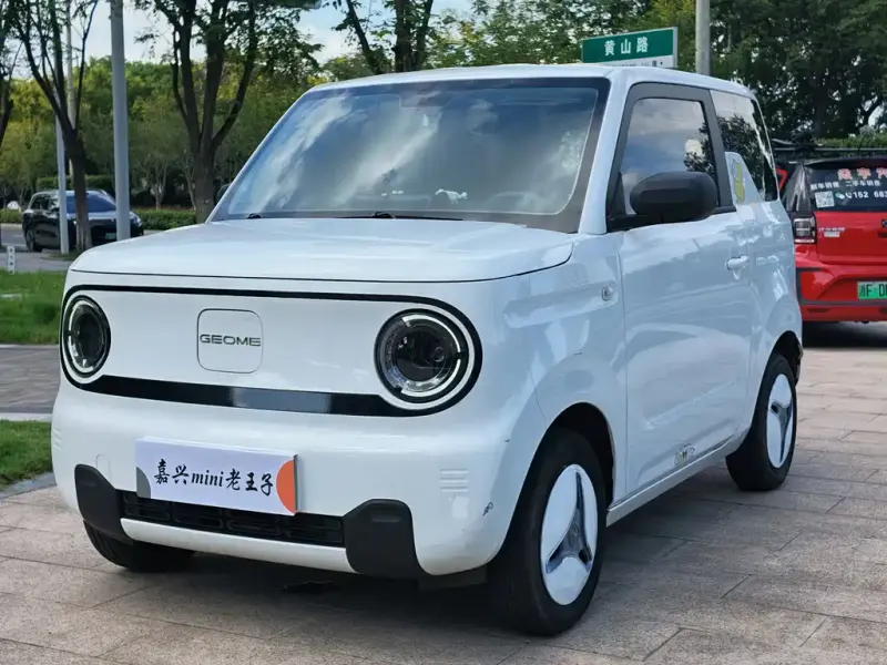 Galaxy Panda, 2024