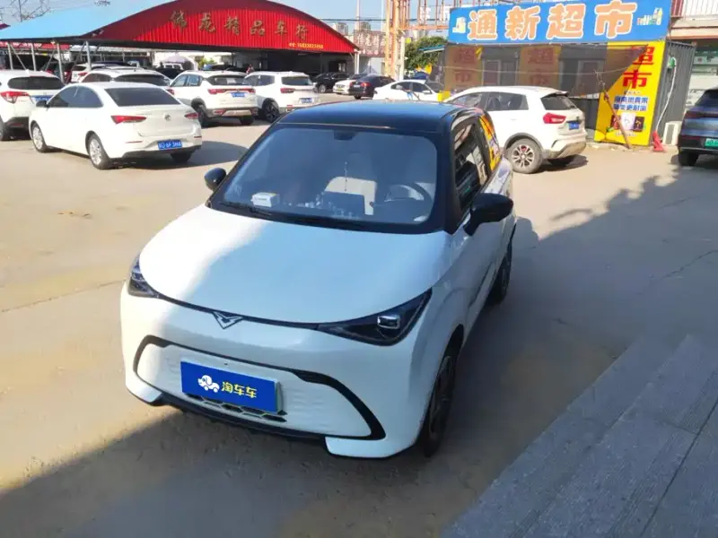 Cowin Shiyue, 2024