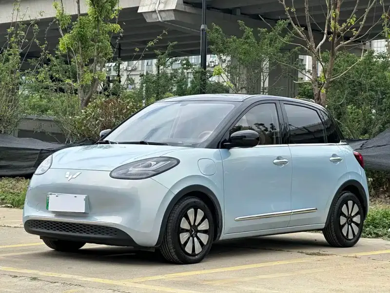 Wuling Bingo, 2025