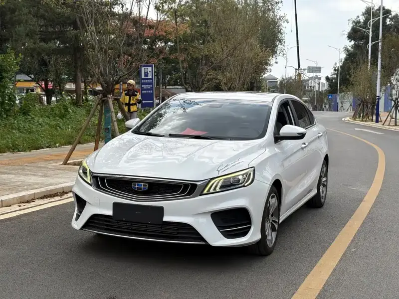 Geely Binrui, 2019