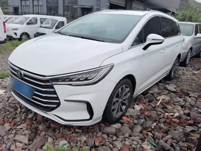 BYD MAX, 2020