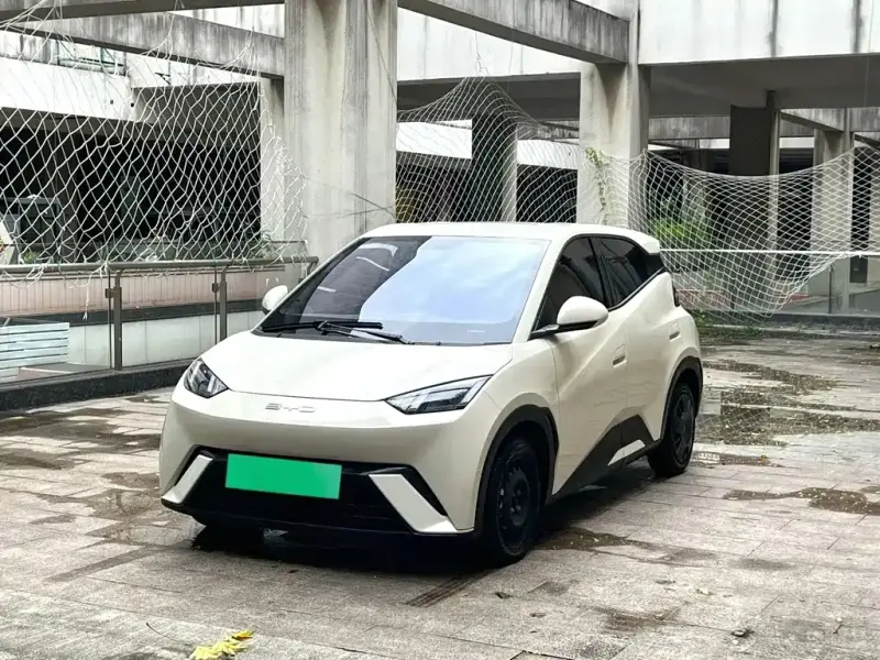BYD Seagull, 2023