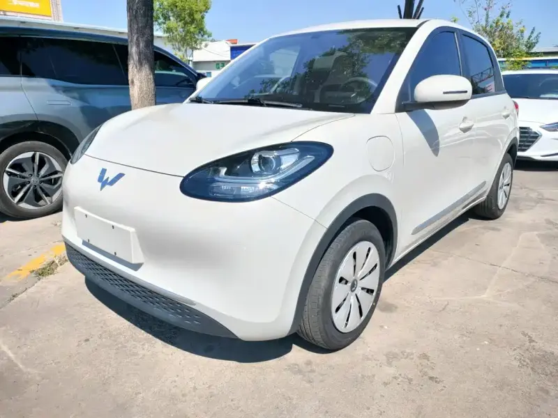 Wuling Bingo, 2024