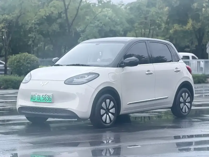 Wuling Bingo, 2024
