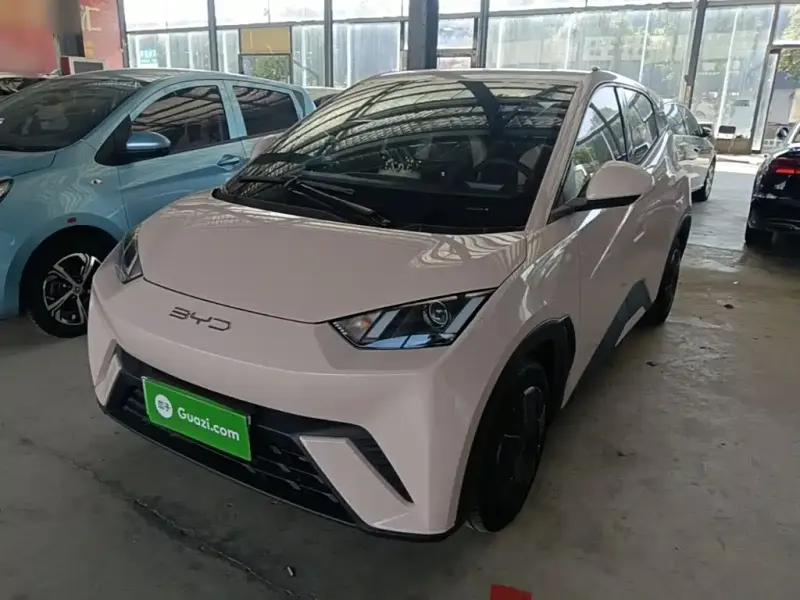 BYD Seagull, 2024