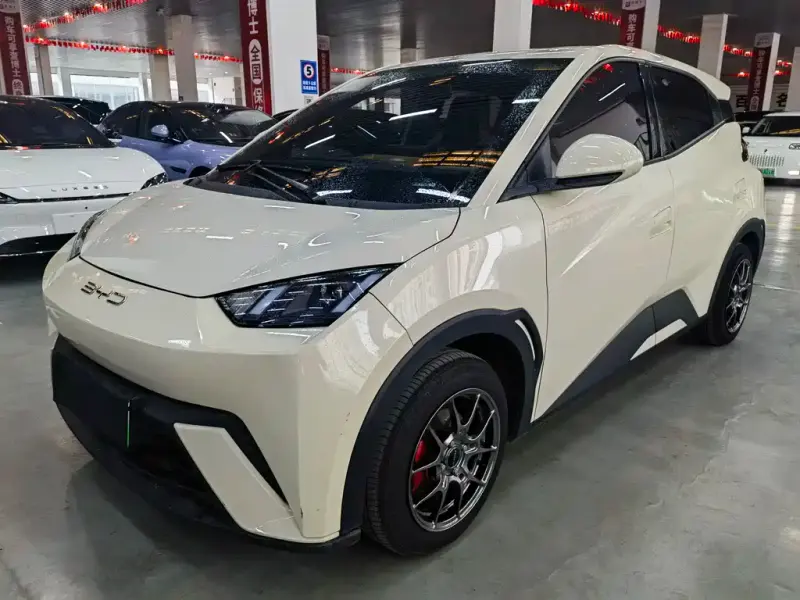 BYD Seagull, 2024