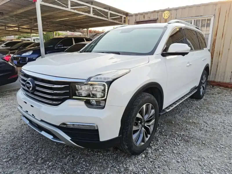 GAC Motor Trumpchi GS8, 2019