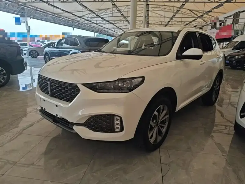 Wey VV6, 2020