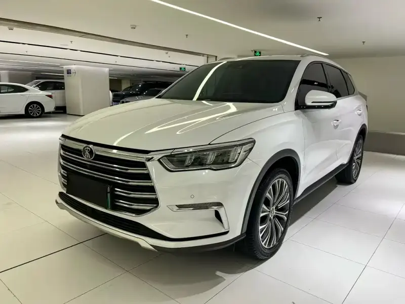BYD Pro New Energy, 2019
