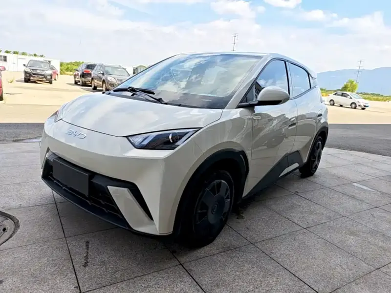 BYD Seagull, 2024