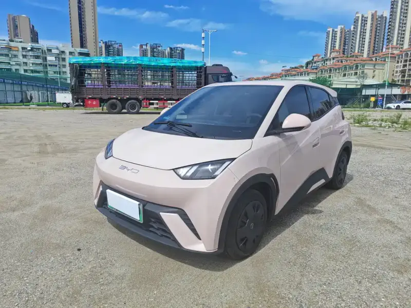 BYD Seagull, 2024
