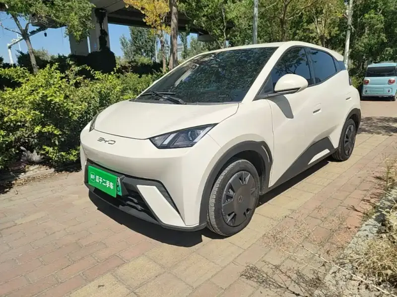 BYD Seagull, 2024