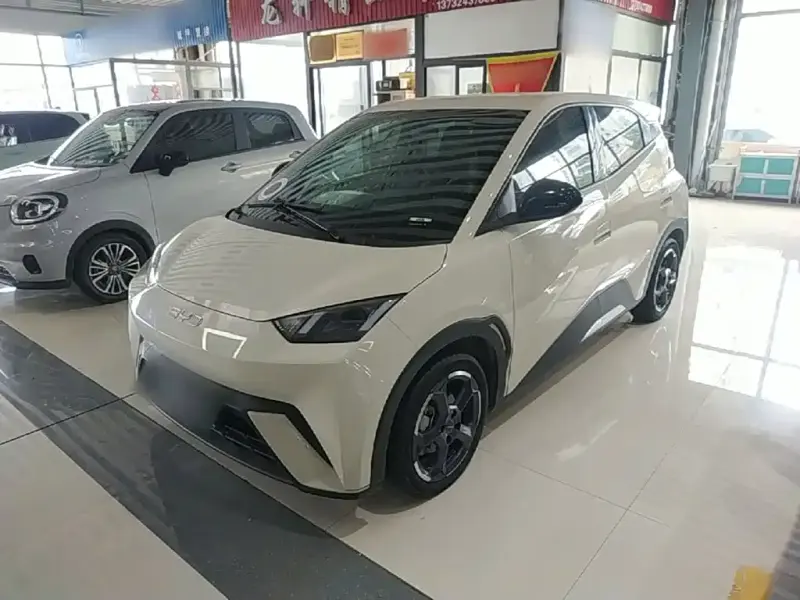BYD Seagull, 2024