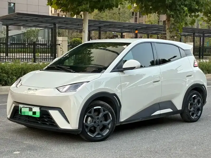 BYD Seagull, 2025