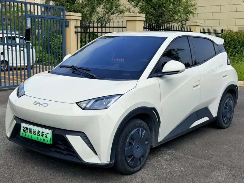 BYD Seagull, 2024