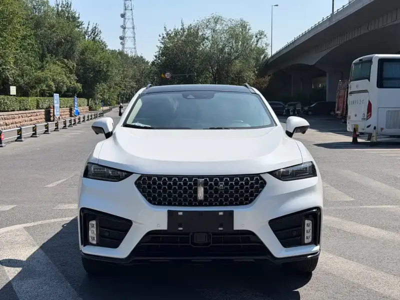 Wey VV7, 2019