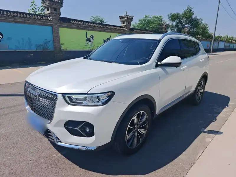 Haval H6, 2021