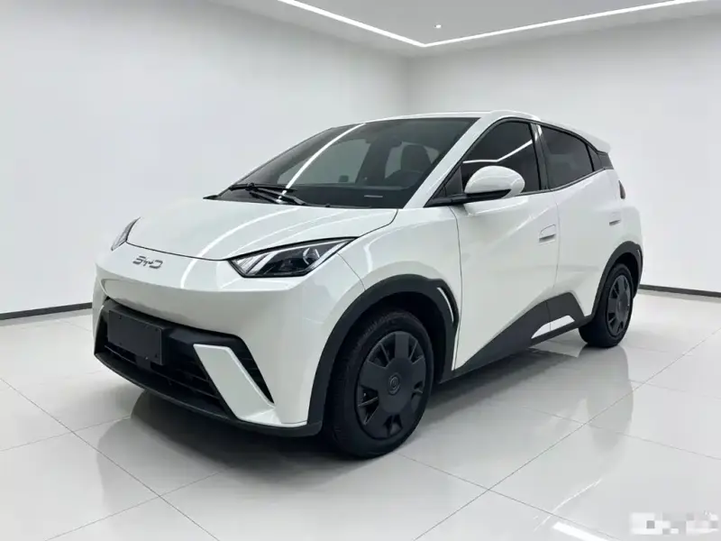 BYD Seagull, 2025