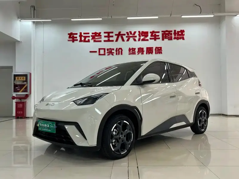 BYD Seagull, 2024