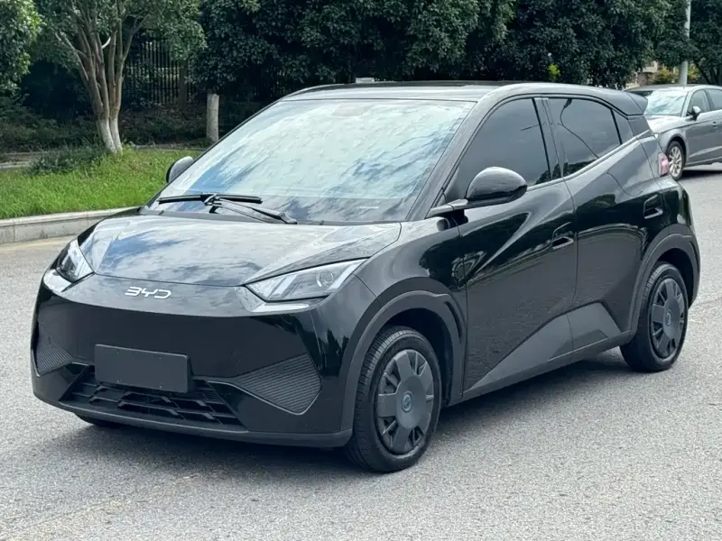 BYD Seagull, 2025