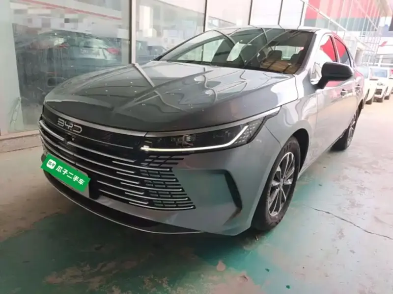 BYD Destroyer 05, 2024