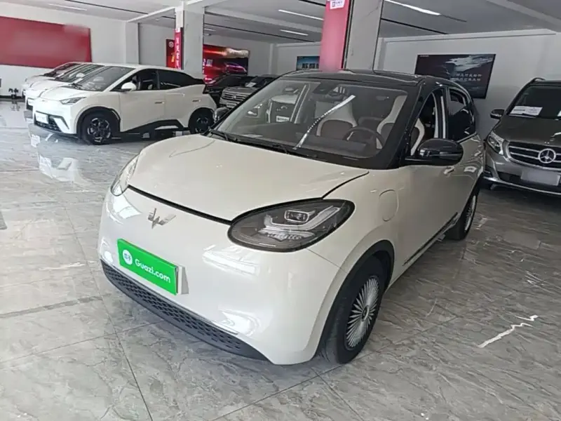 Wuling Bingo, 2024