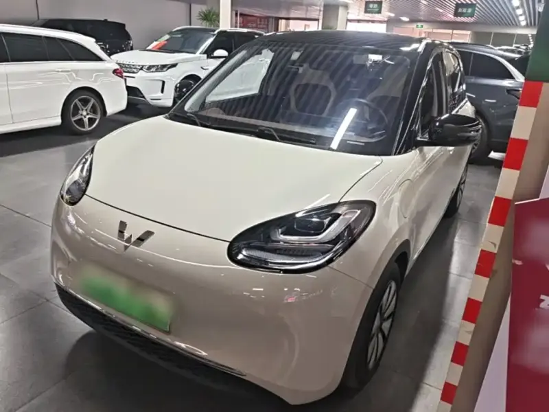 Wuling Bingo, 2024