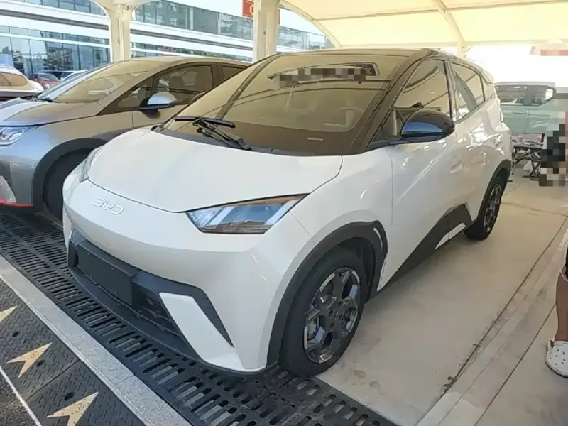 BYD Seagull, 2025
