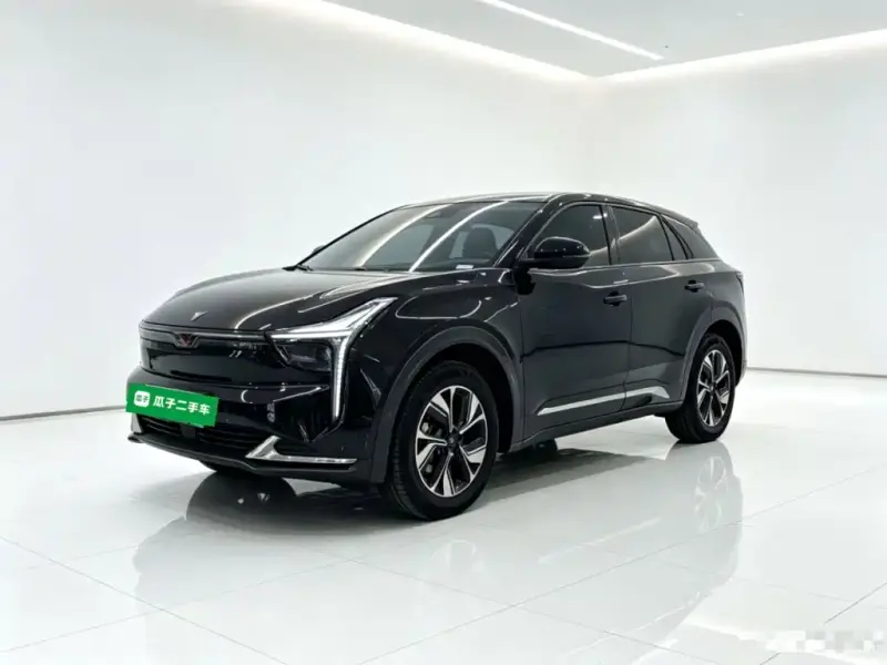 Neta U, 2023