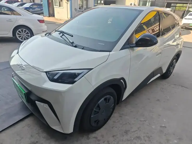 BYD Seagull, 2025