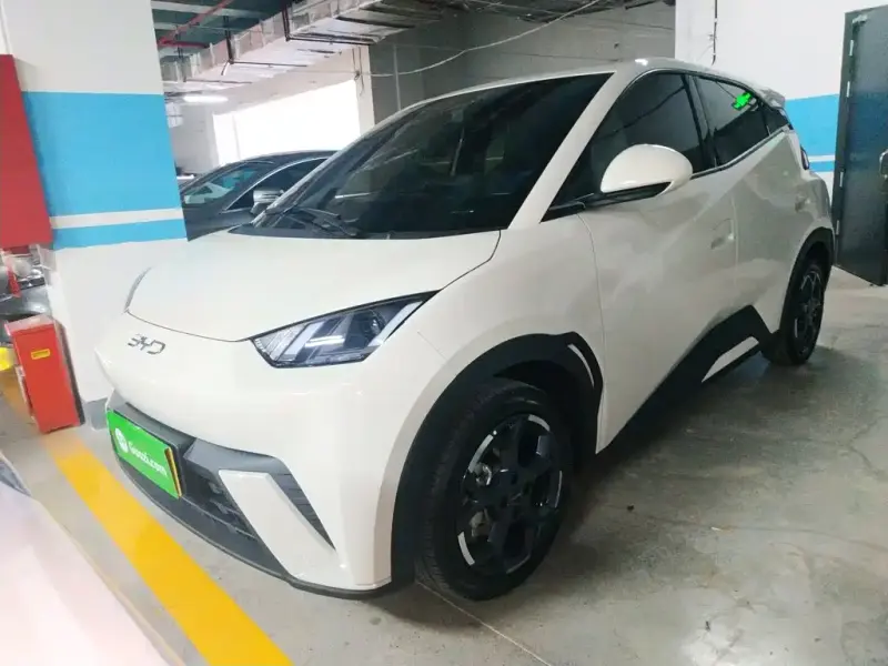 BYD Seagull, 2024
