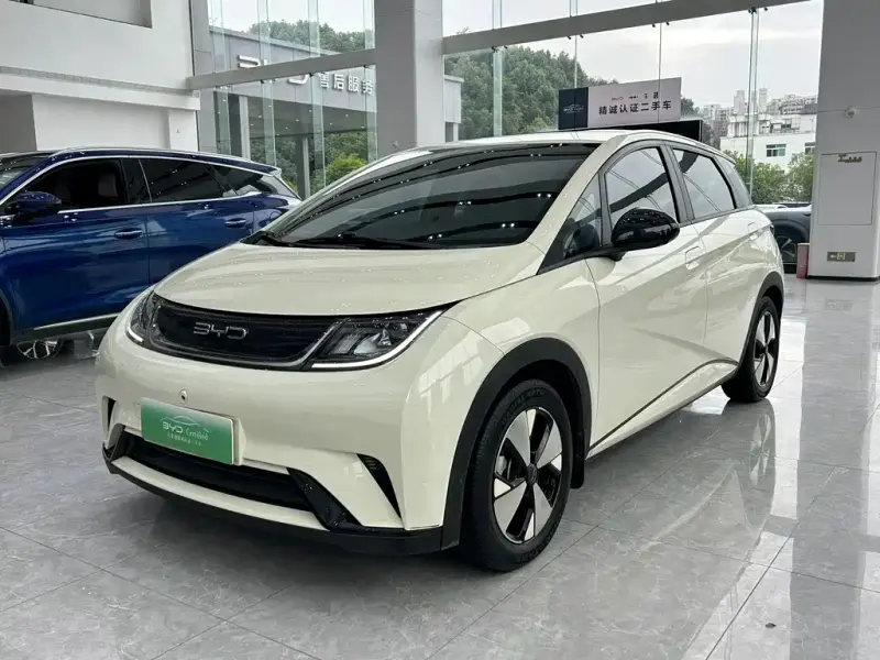 BYD Dolphin, 2023