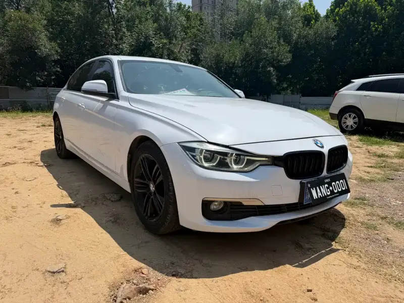 BMW 3 Series BMW 3 Series 2018 318Li, 2018 — фото 1