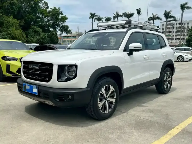 Haval Big Dog, 2021