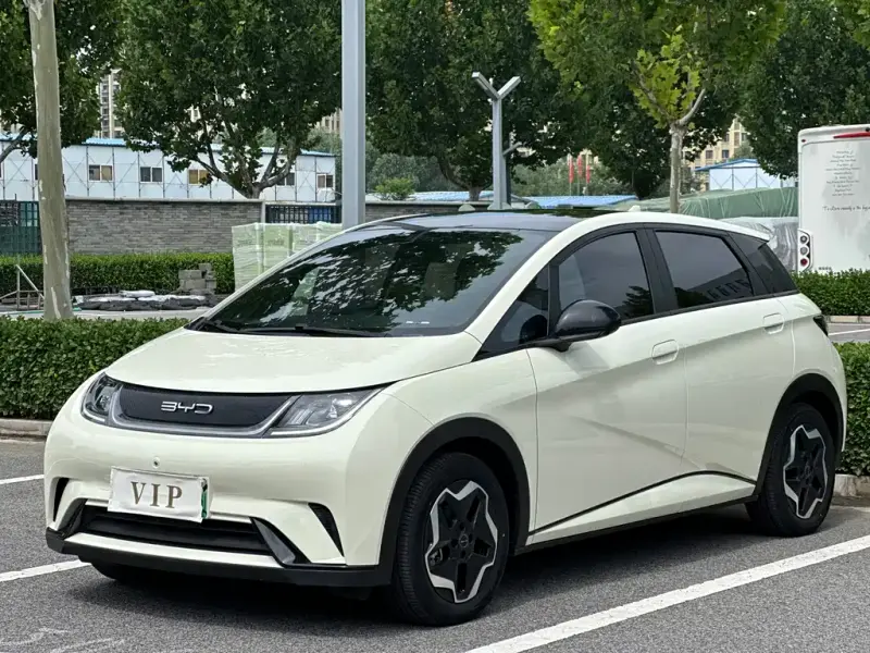 BYD Dolphin, 2022