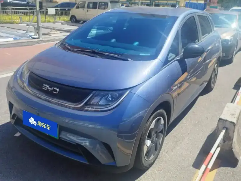 BYD Dolphin, 2024