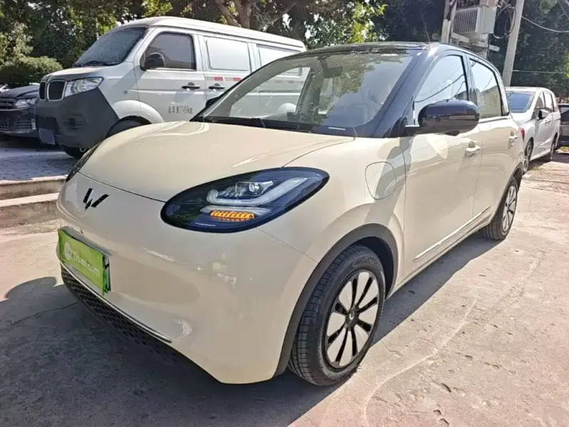 Wuling Bingo, 2026