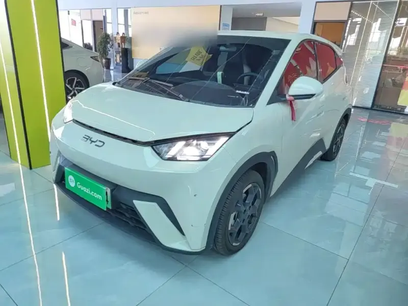 BYD Seagull, 2024
