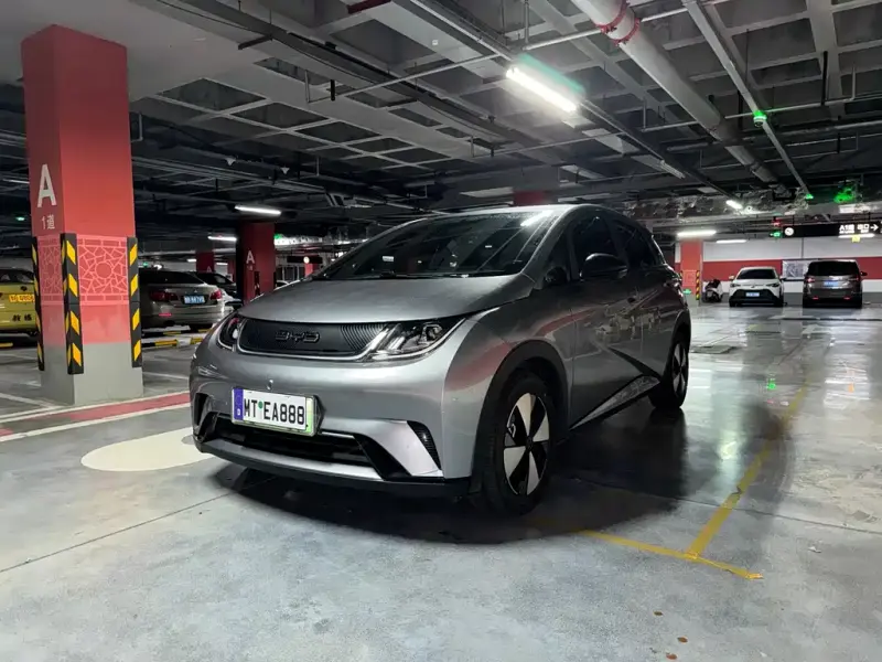 BYD Dolphin BYD Dolphin 2023 420km Free Edition, 2023 — фото 1