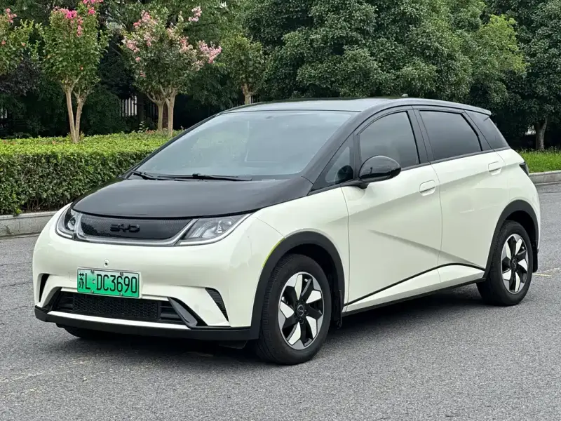 BYD Dolphin, 2025