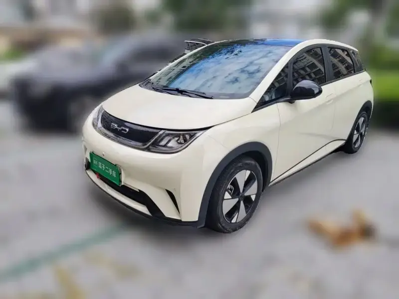 BYD Dolphin, 2024
