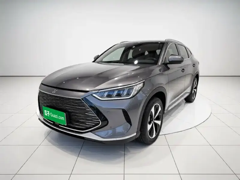 BYD PLUS New Energy, 2021