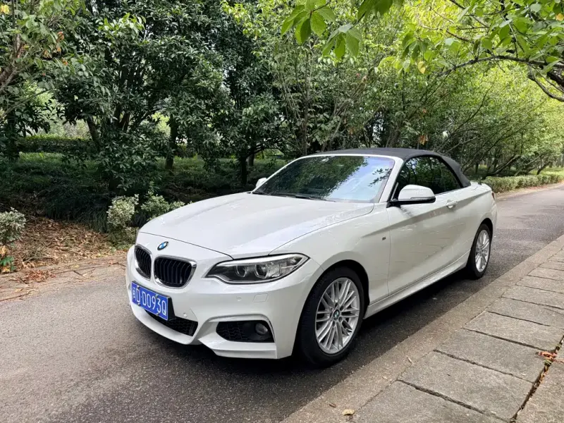 BMW 2 Series (Import), 2015