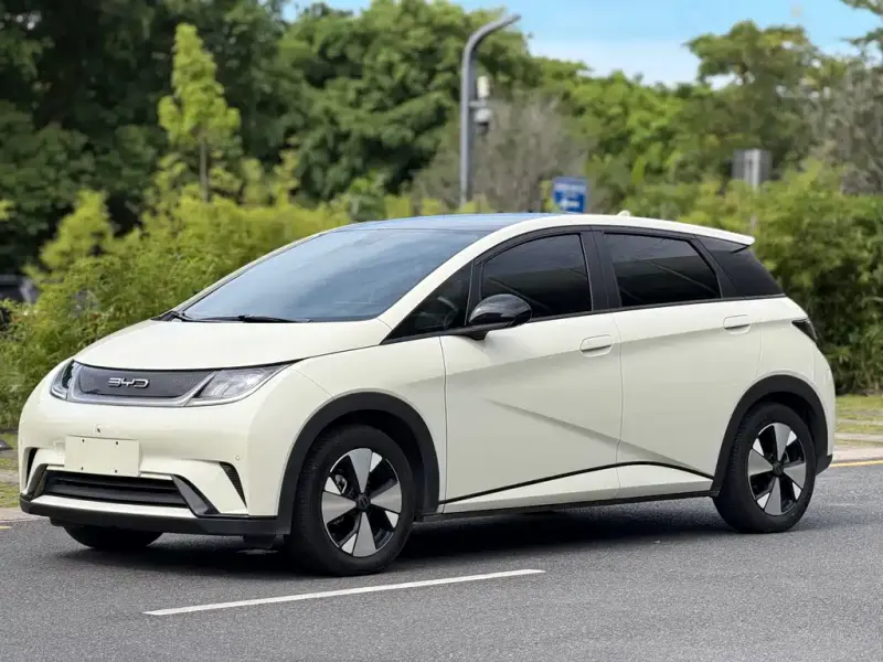 BYD Dolphin, 2024