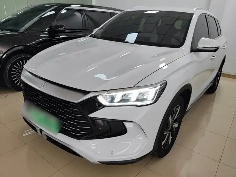 BYD Pro New Energy, 2024