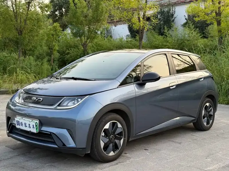 BYD Dolphin, 2025